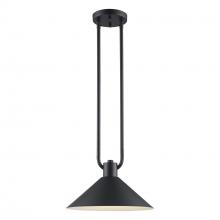 Trans Globe 11761 BK - 1LT PENDANT-12' DOUBLE ROD-BK